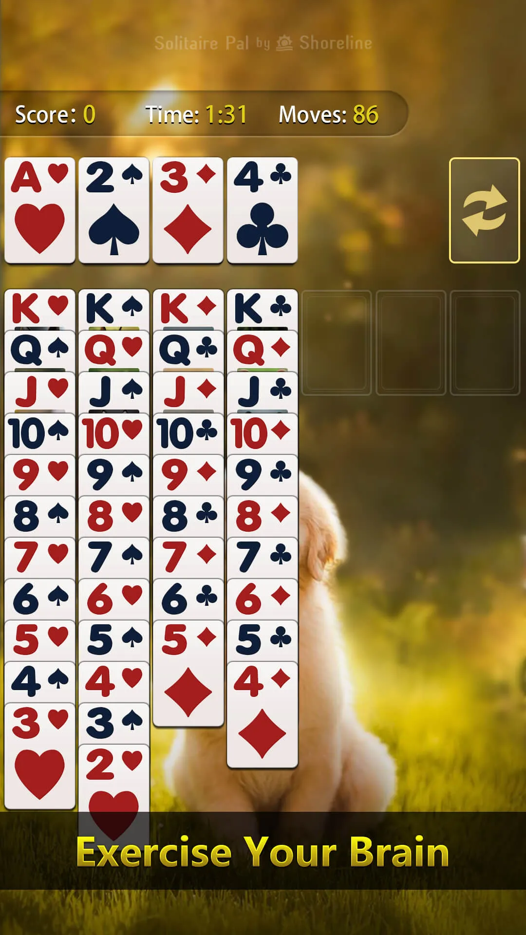 Solitaire Pal: Big Card | Indus Appstore | Screenshot