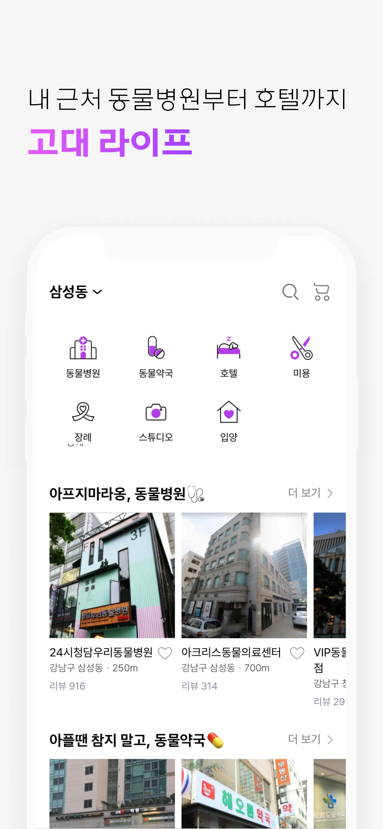 고양이대통령 | Indus Appstore | Screenshot