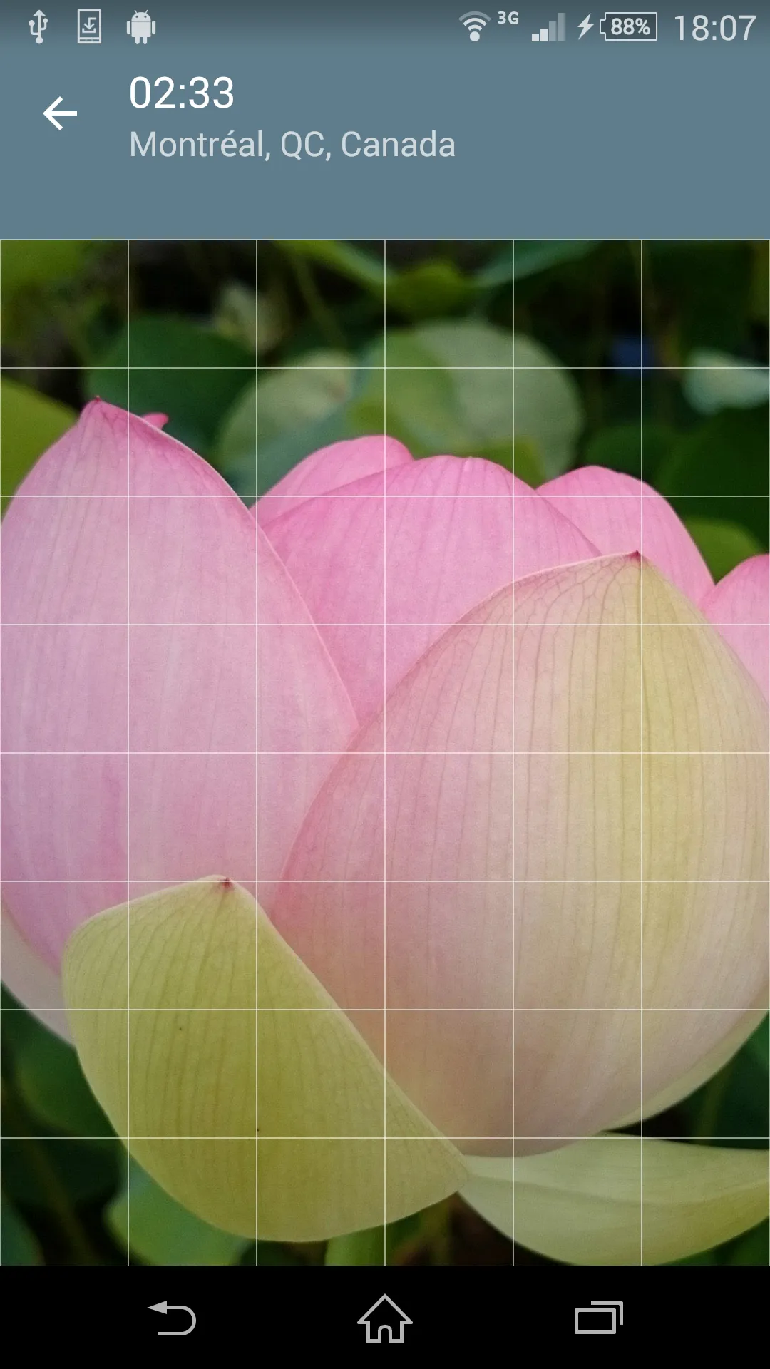 Jigsaw Puzzle: Flowers | Indus Appstore | Screenshot