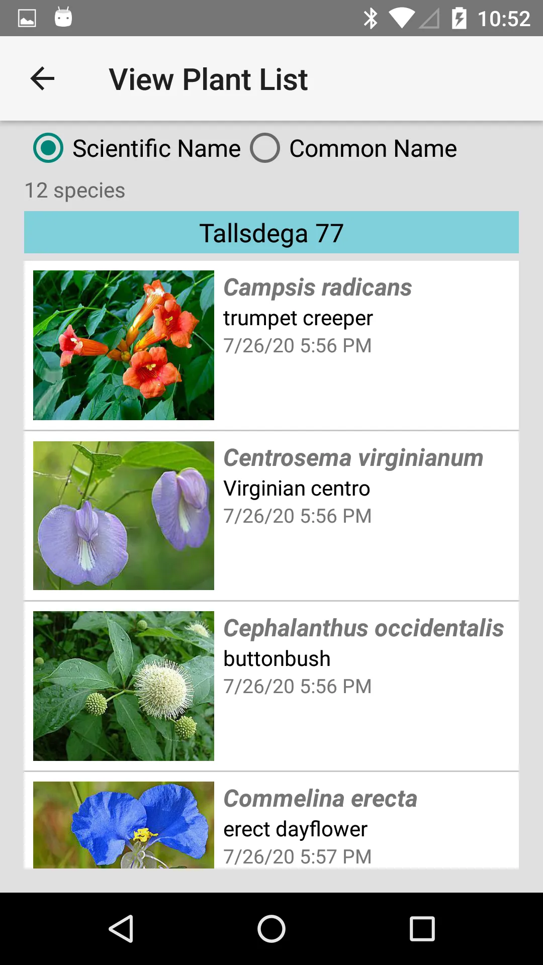 Louisiana Wildflowers | Indus Appstore | Screenshot