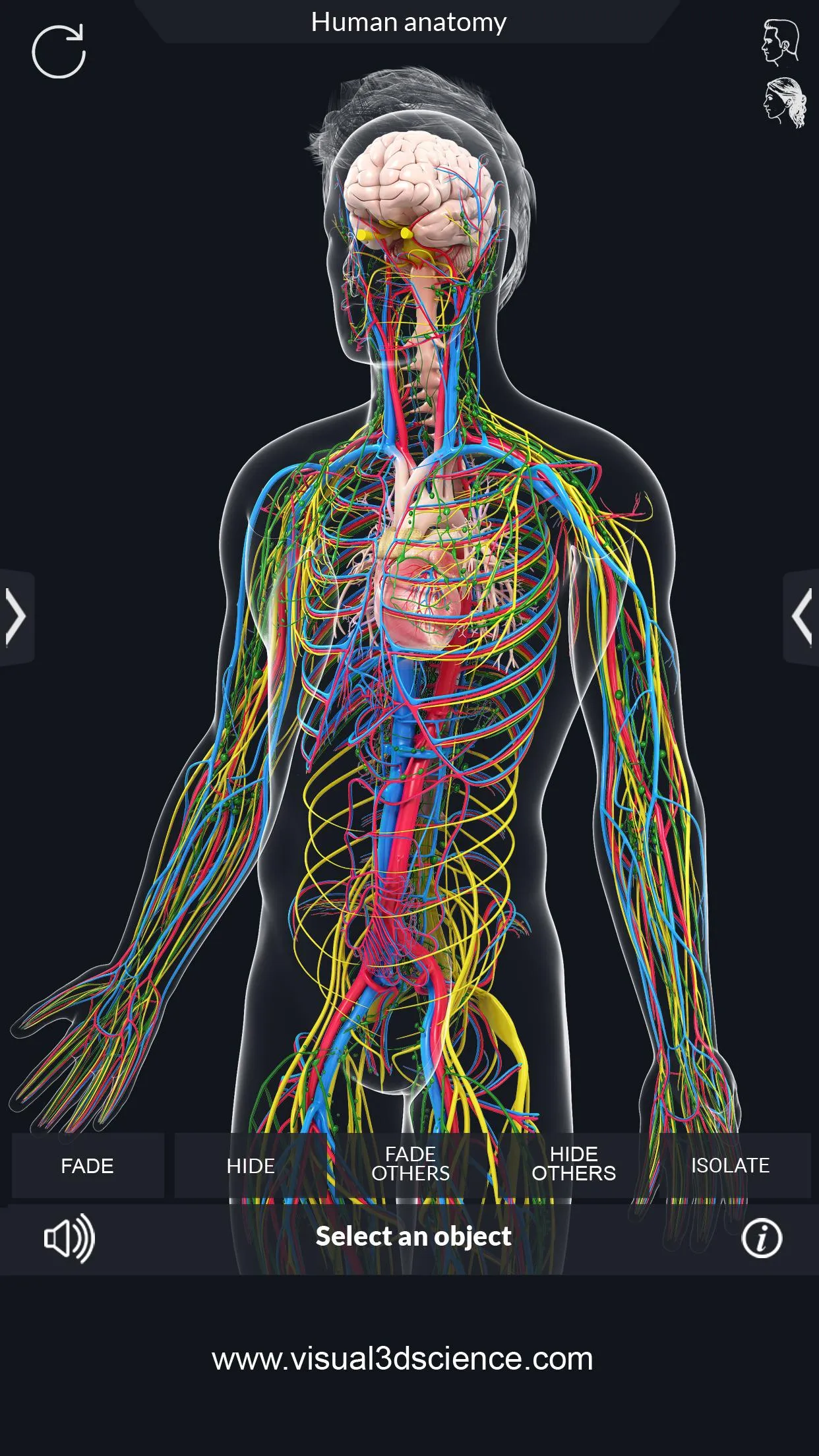 Human Anatomy | Indus Appstore | Screenshot