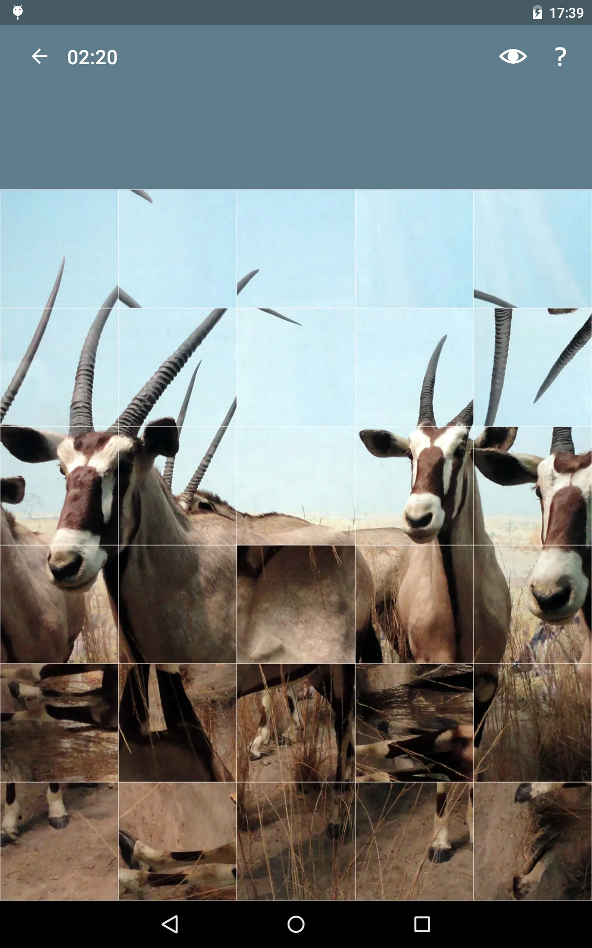 Jigsaw Puzzle: Animals | Indus Appstore | Screenshot