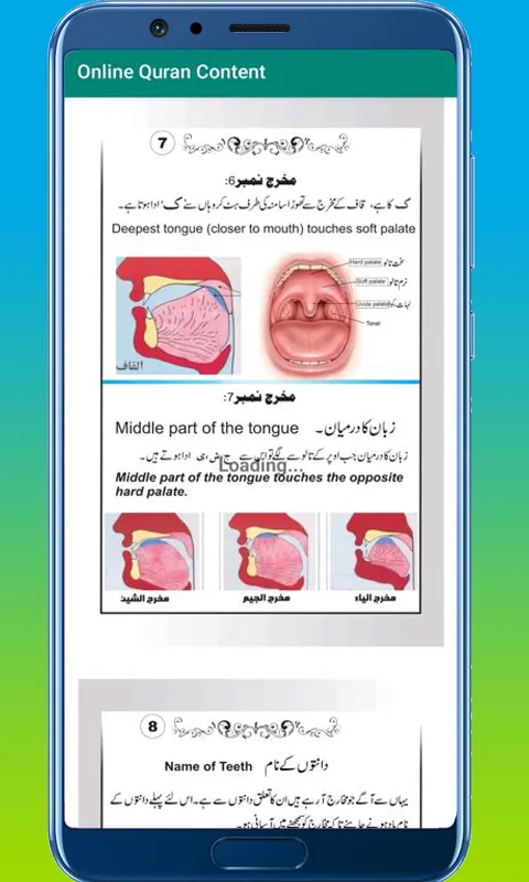 Online Quran Quranic Content | Indus Appstore | Screenshot