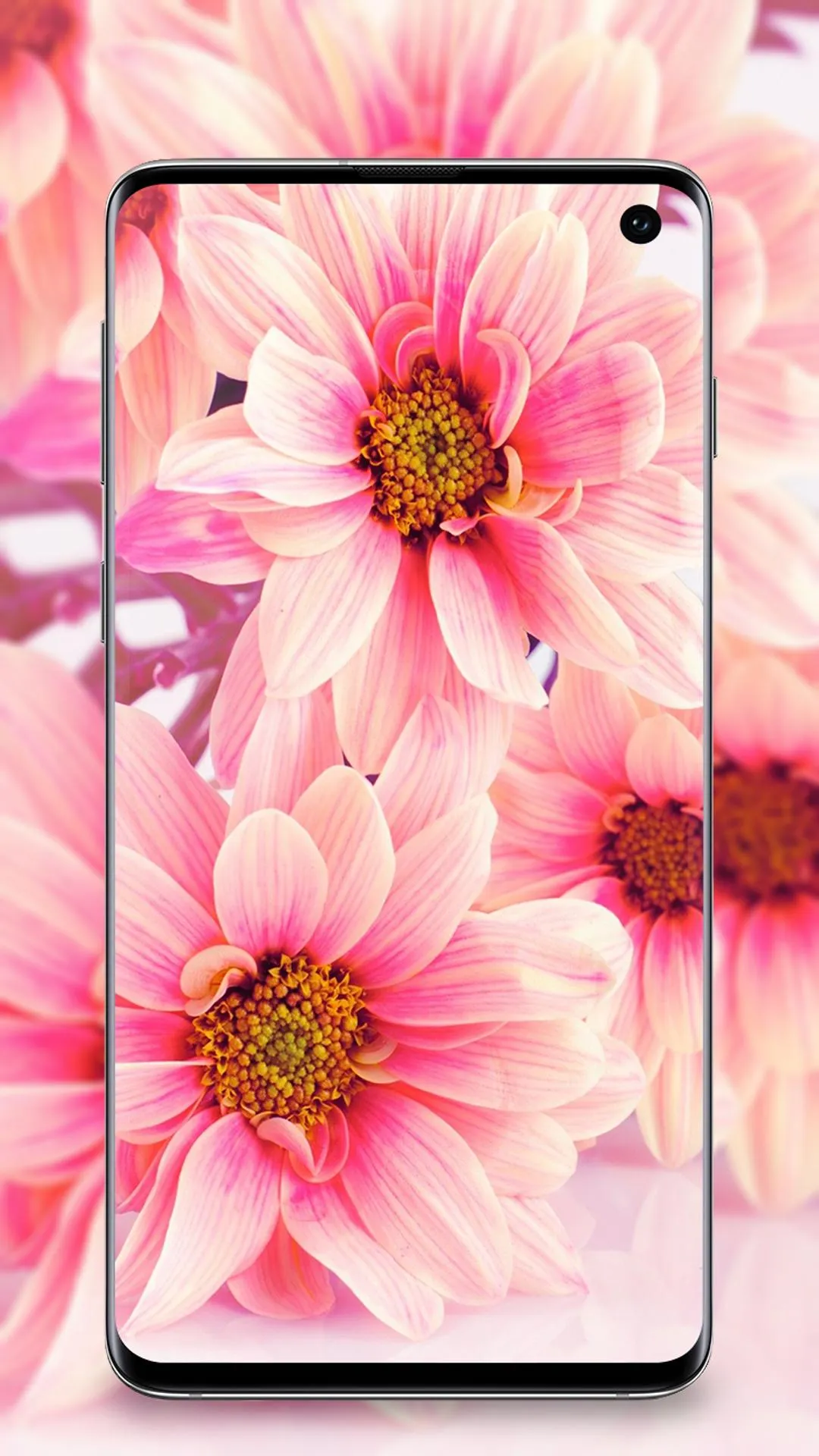 Flower Wallpaper | Indus Appstore | Screenshot