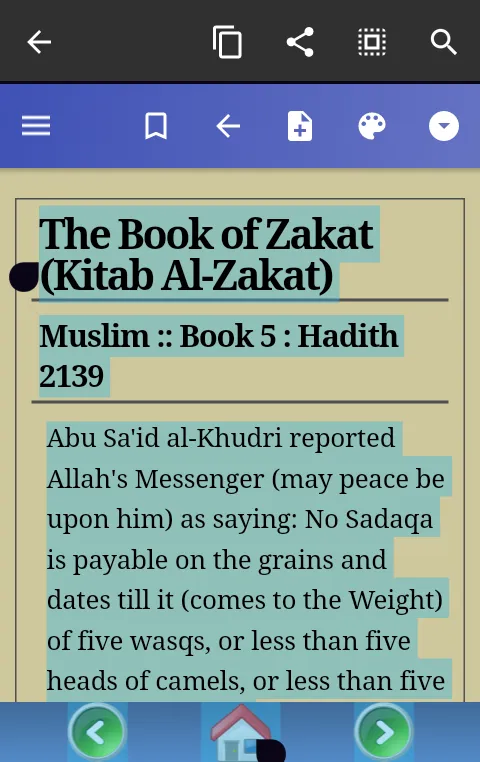 The Hadith Collection | Indus Appstore | Screenshot