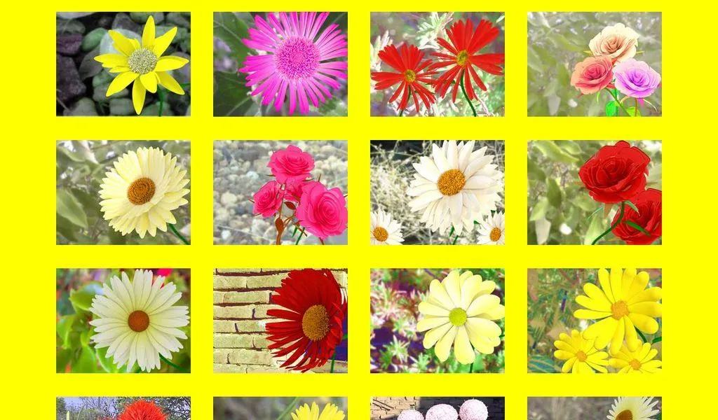 Flowers to You | Indus Appstore | Screenshot