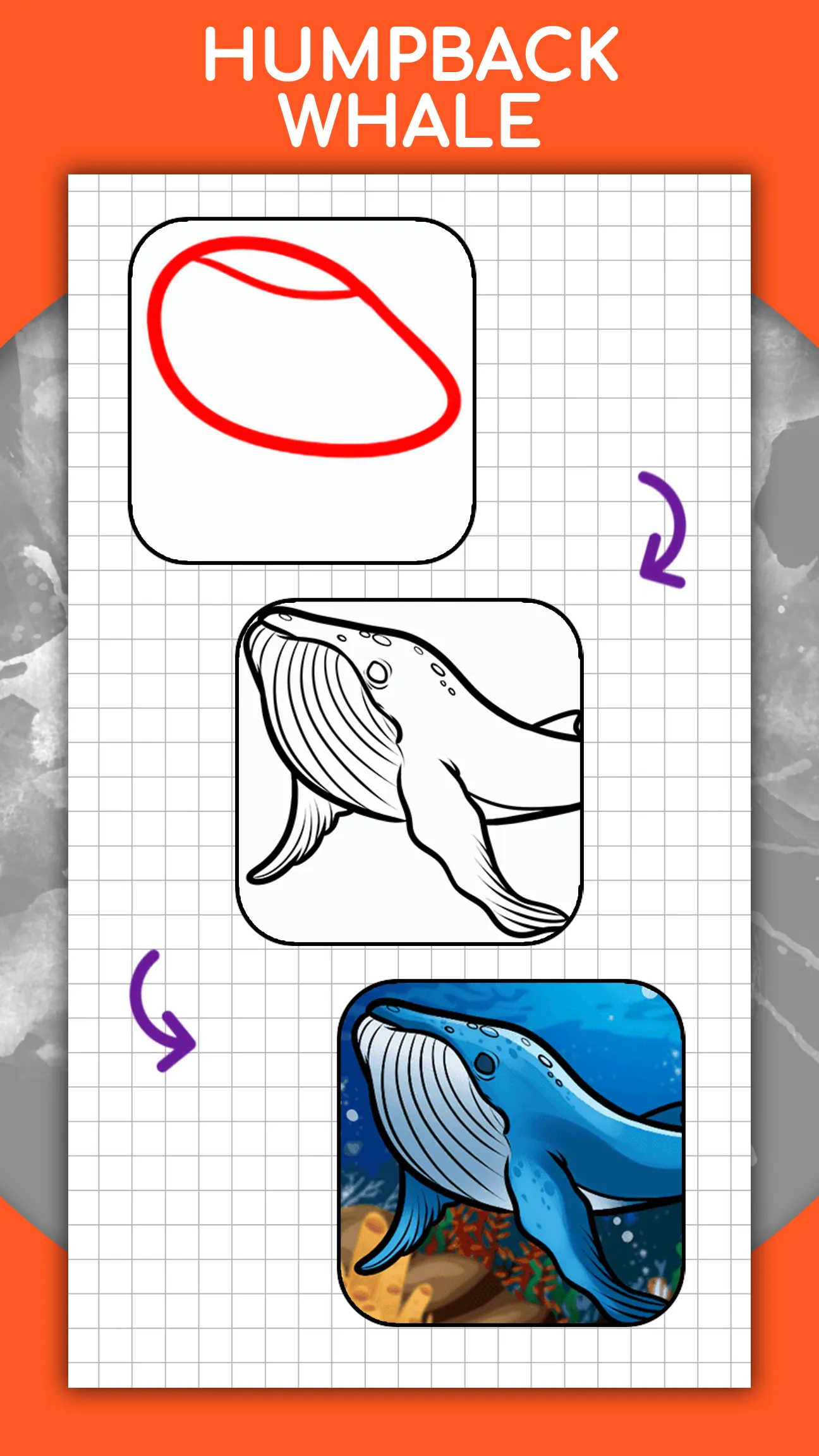 How to draw animals by steps | Indus Appstore | Screenshot