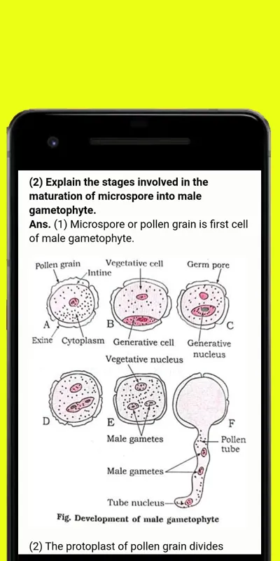 12th Science Notes 2022 | Indus Appstore | Screenshot