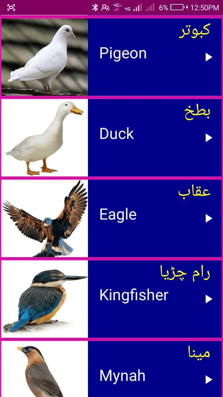 Learn English From Urdu | Indus Appstore | Screenshot