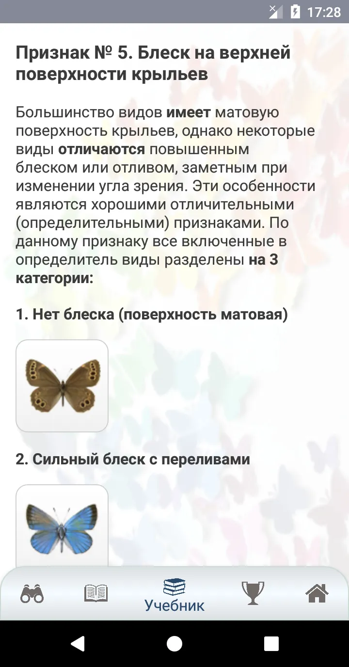 EcoGuide: Russian Butterflies | Indus Appstore | Screenshot