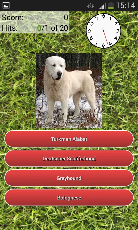 Dog Breeds Quiz | Indus Appstore | Screenshot