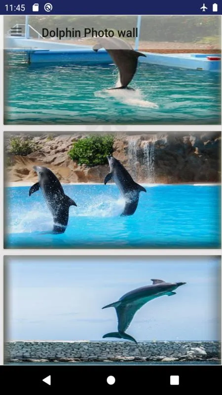 dolphin fish wallpaper | Indus Appstore | Screenshot