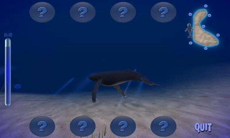 The Humpback Whale | Indus Appstore | Screenshot