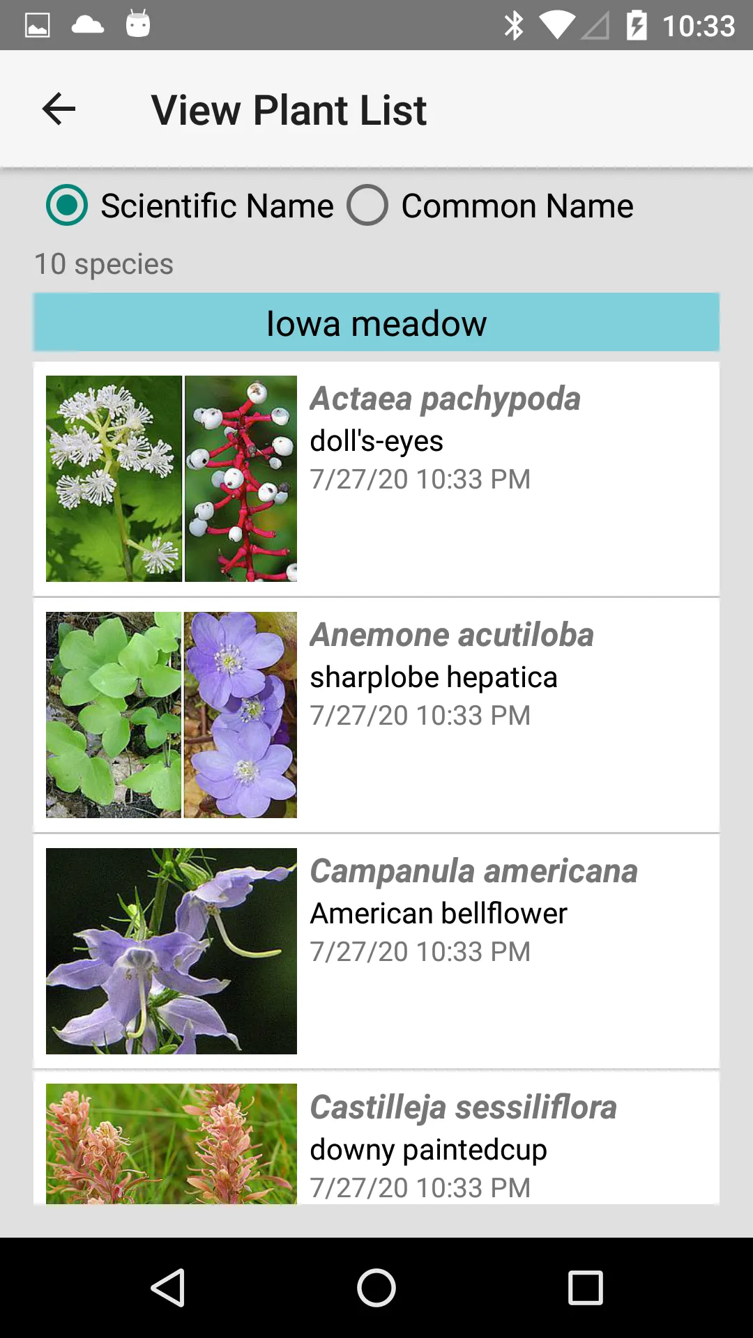 Iowa Wildflowers | Indus Appstore | Screenshot