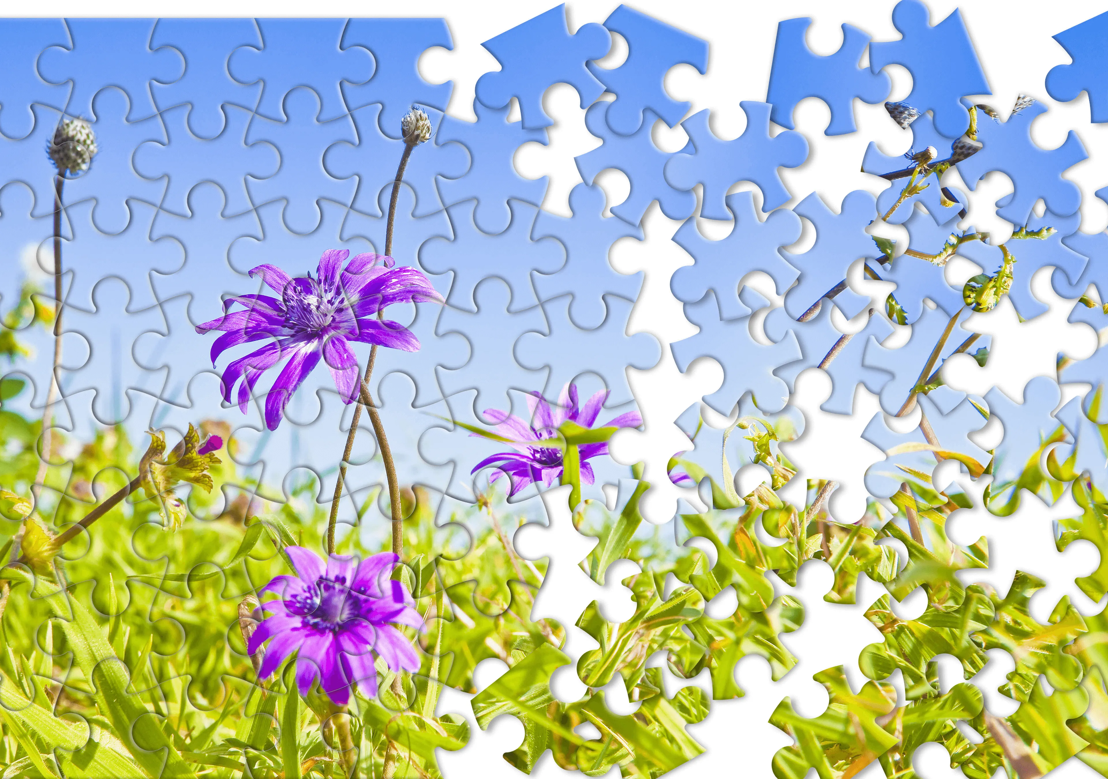 Jigsaw Puzzles - puzzle games | Indus Appstore | Screenshot