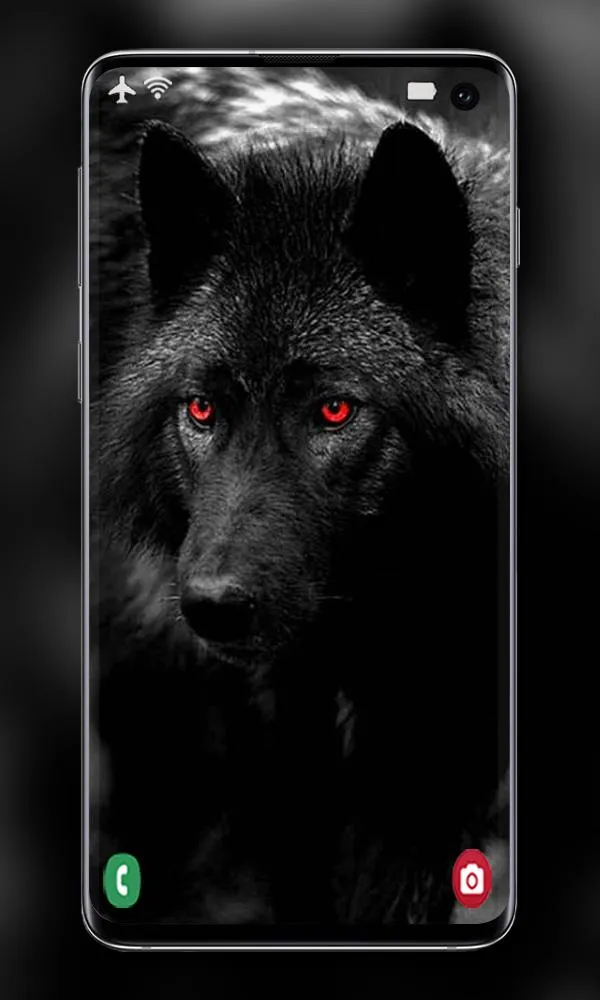 Wolf Wallpaper | Indus Appstore | Screenshot