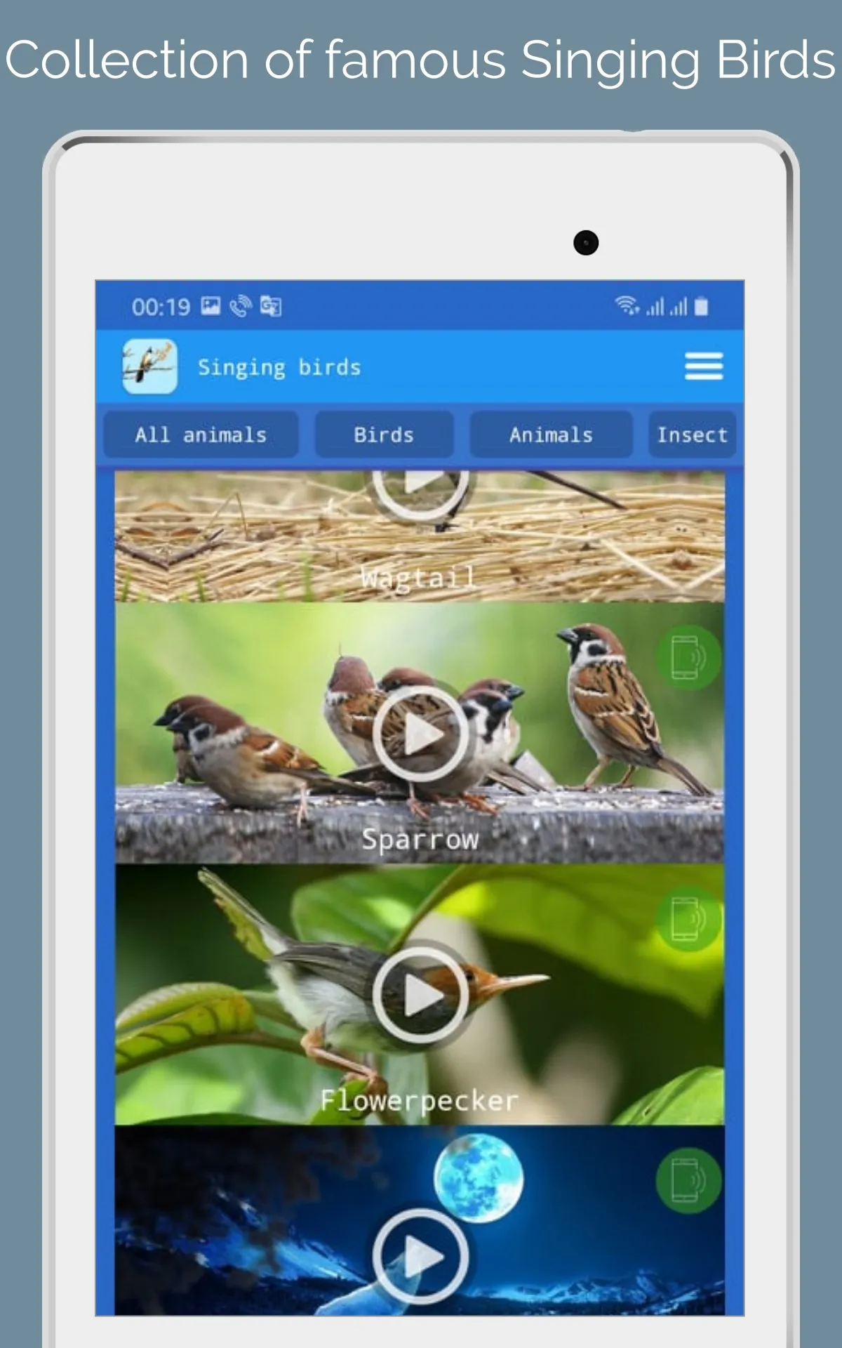 Singing Birds | Indus Appstore | Screenshot