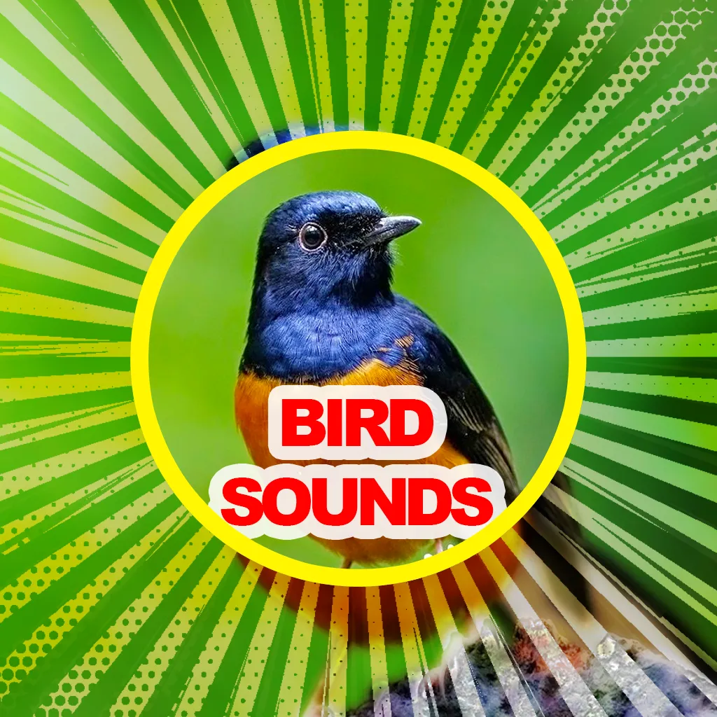 1200+ Suara Kicau Burung MP3 | Indus Appstore | Screenshot