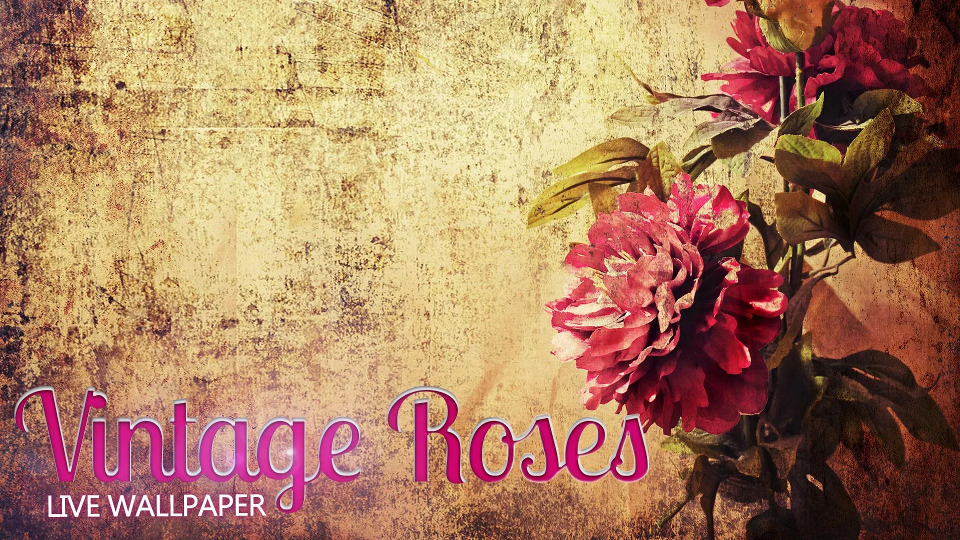 Vintage Roses Live Wallpaper | Indus Appstore | Screenshot