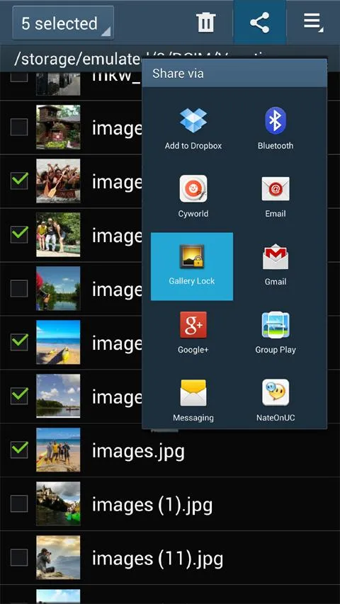 Gallery Lock (Hide pictures) | Indus Appstore | Screenshot