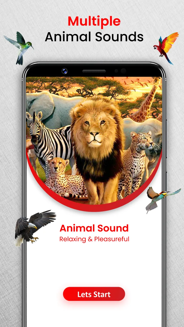 Animal Sounds Birds Ringtones | Indus Appstore | Screenshot