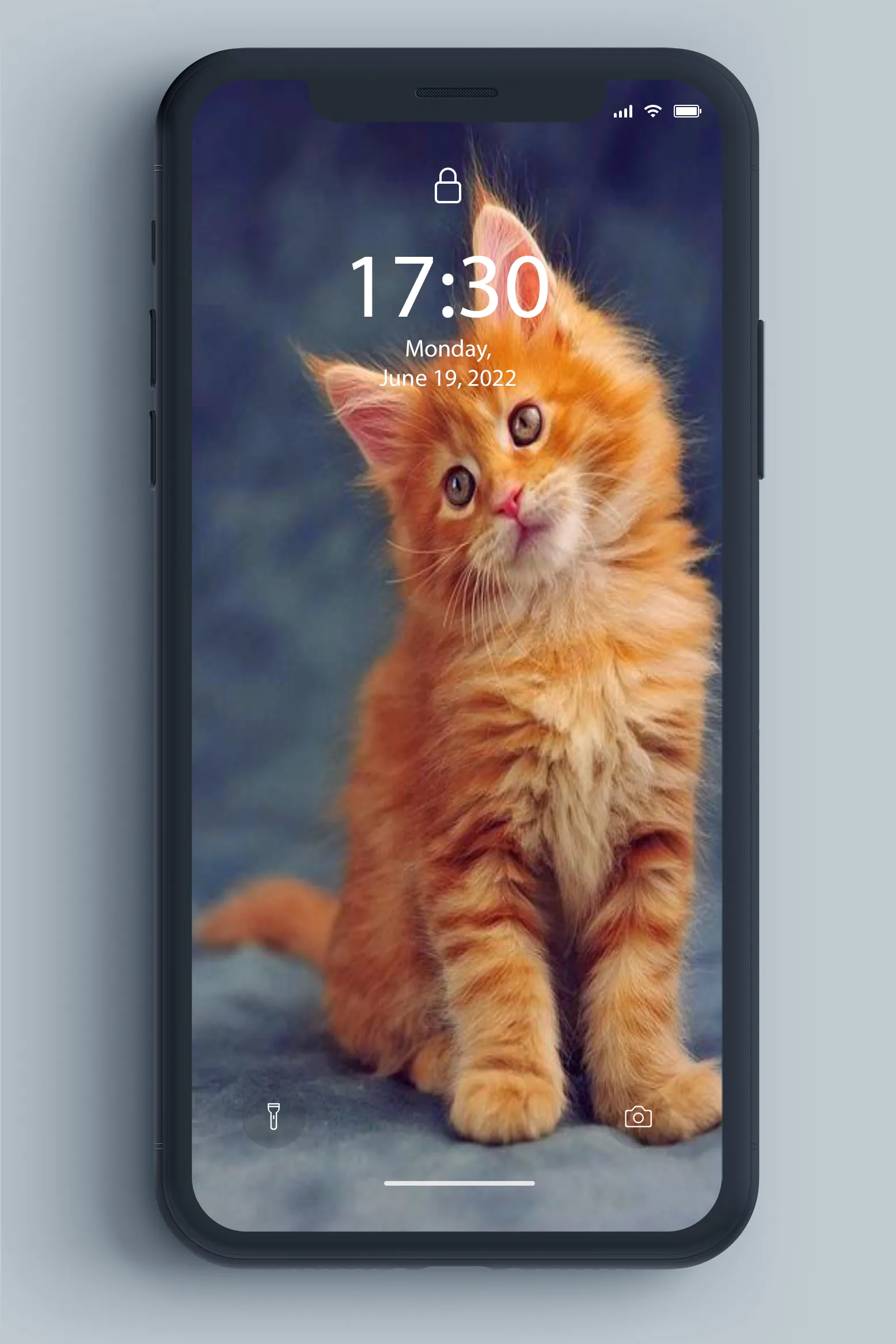 Kitten Wallpaper | Indus Appstore | Screenshot