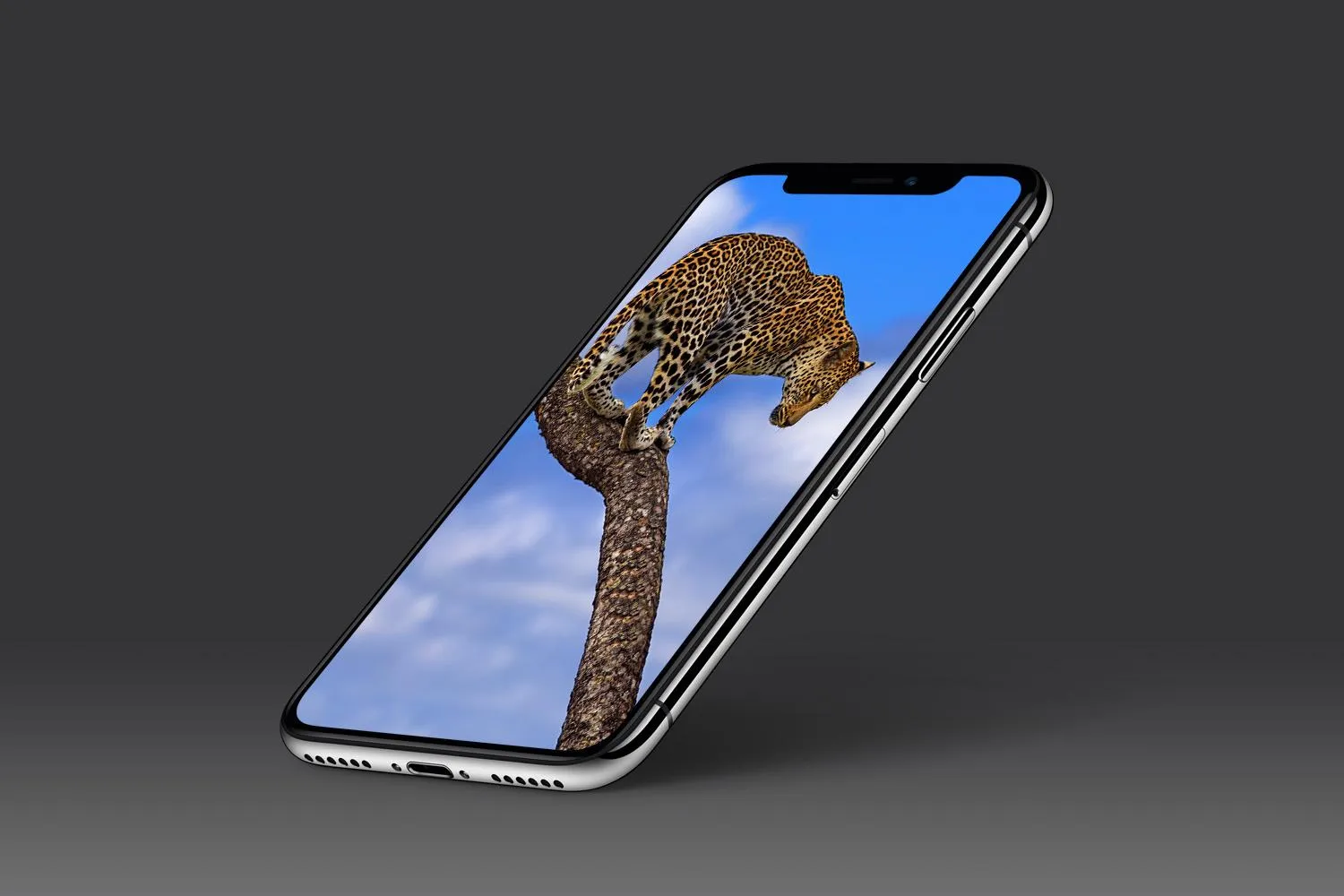 Leopard Wallpaper | Indus Appstore | Screenshot