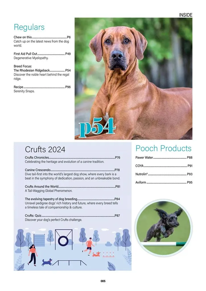 Edition Dog Magazine | Indus Appstore | Screenshot