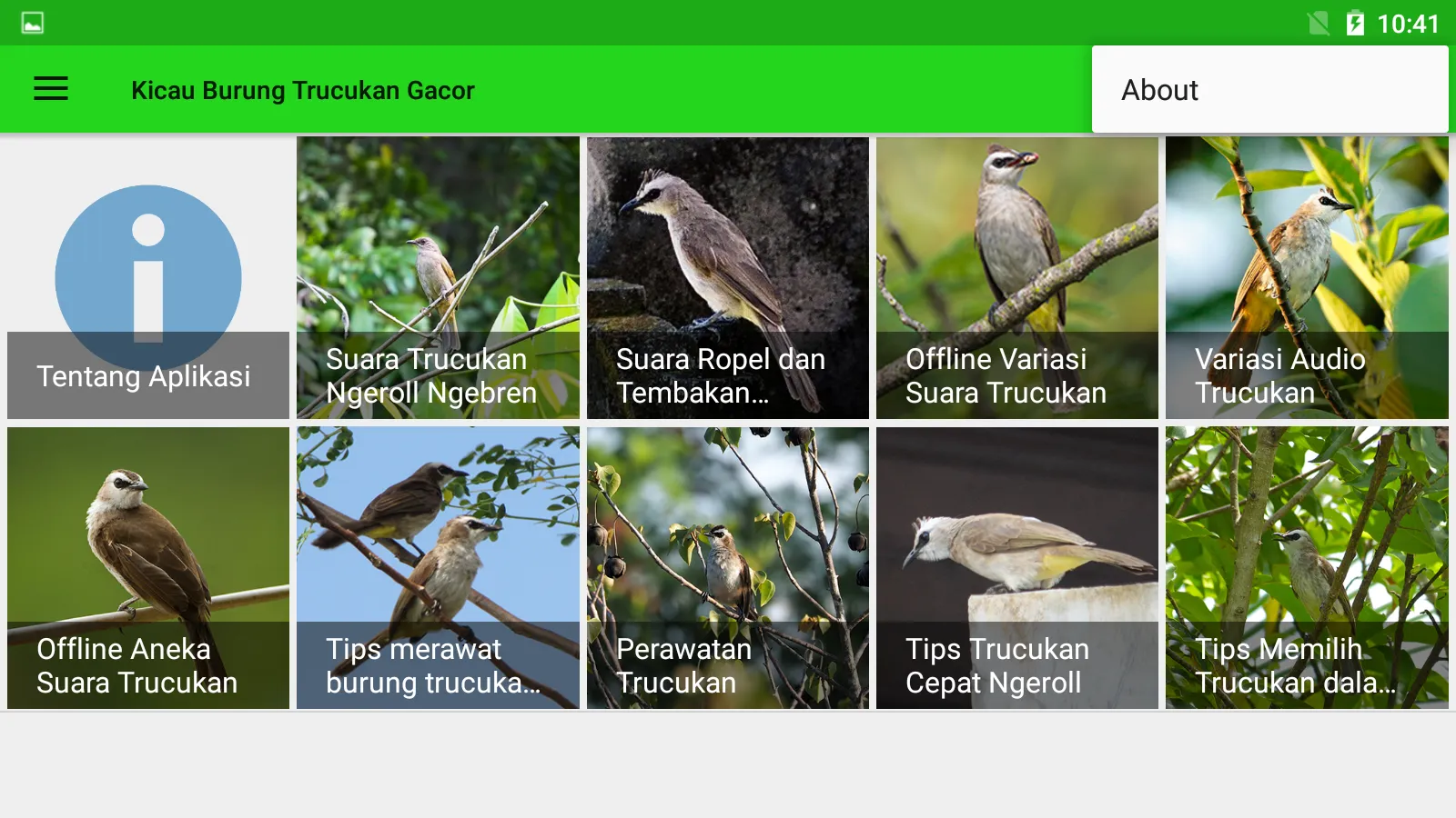 Kicau Burung Trucukan Gacor | Indus Appstore | Screenshot