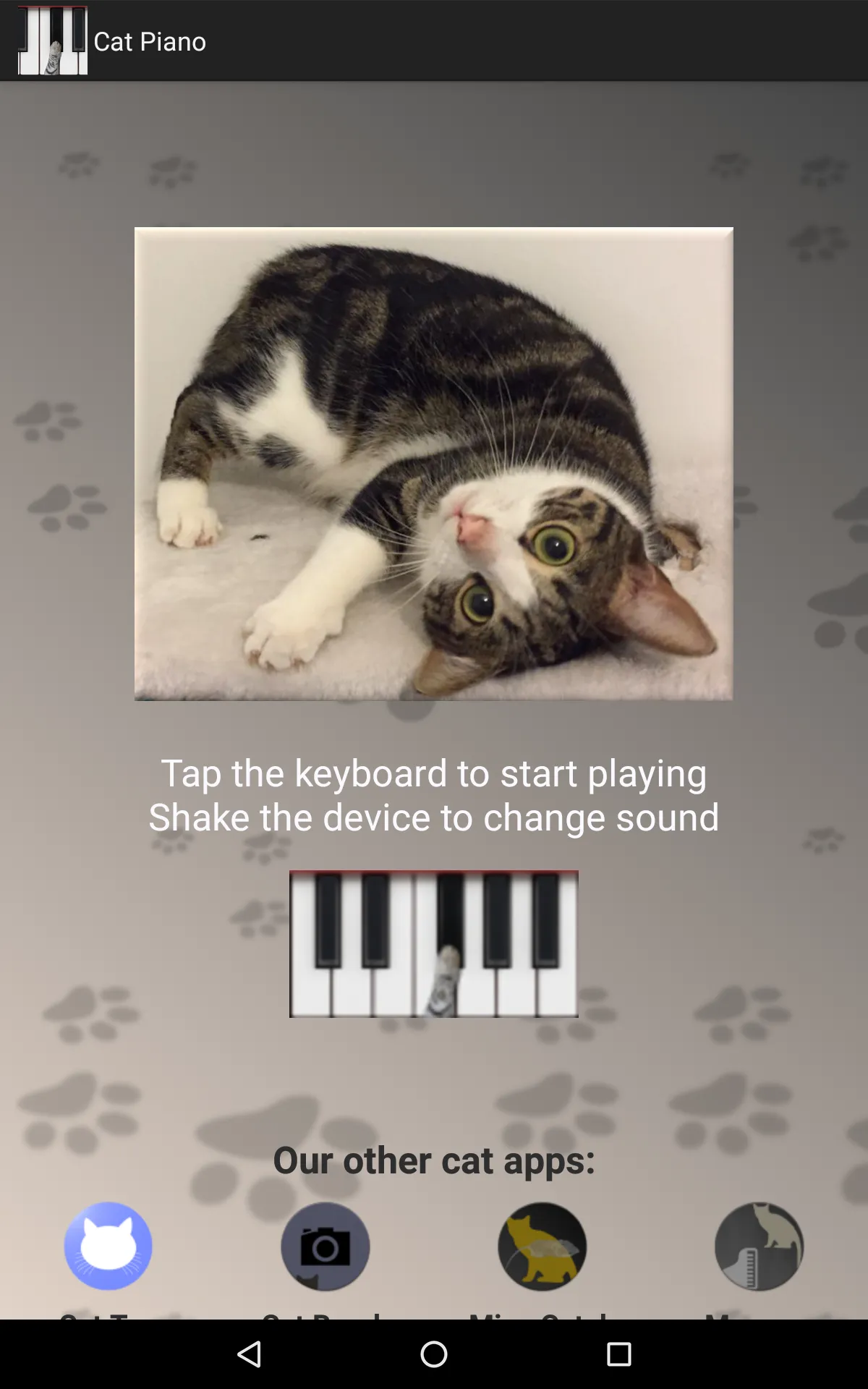 Cat Piano | Indus Appstore | Screenshot