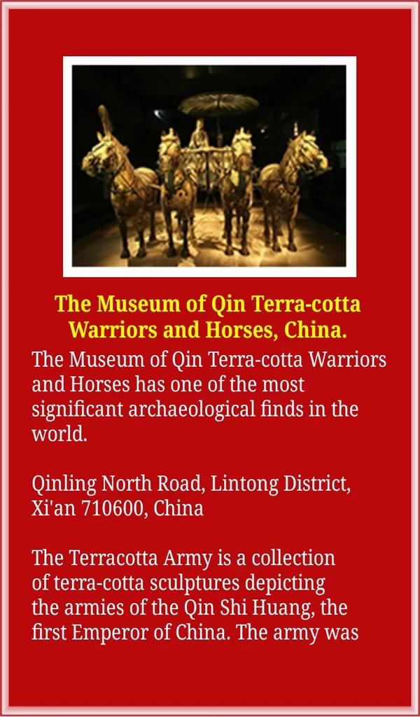 Museum World | Indus Appstore | Screenshot