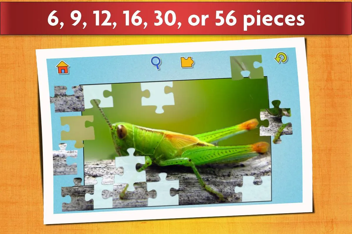 Insect Jigsaw Puzzle Game Kids | Indus Appstore | Screenshot