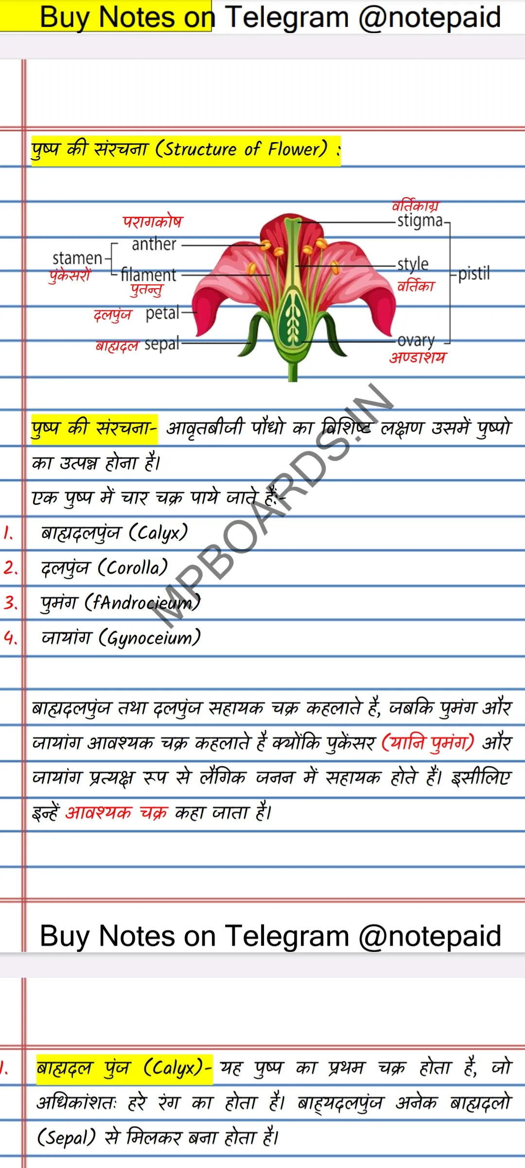 Biology Class 12 Notes Hindi | Indus Appstore | Screenshot