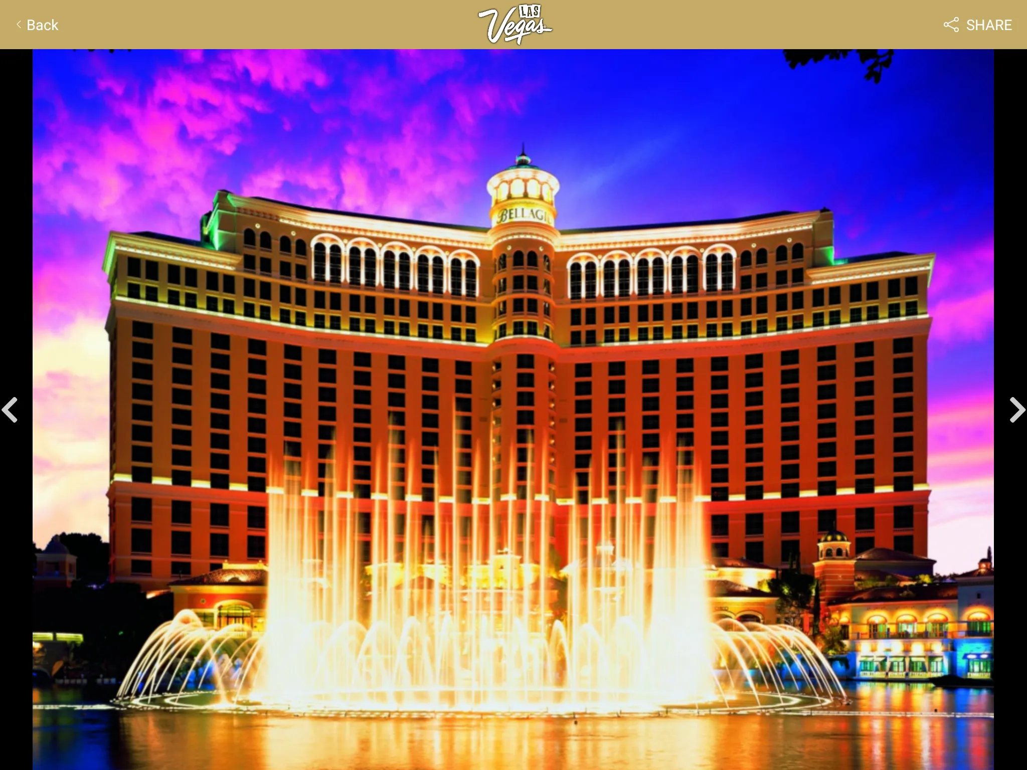 Las Vegas Learn & Earn | Indus Appstore | Screenshot