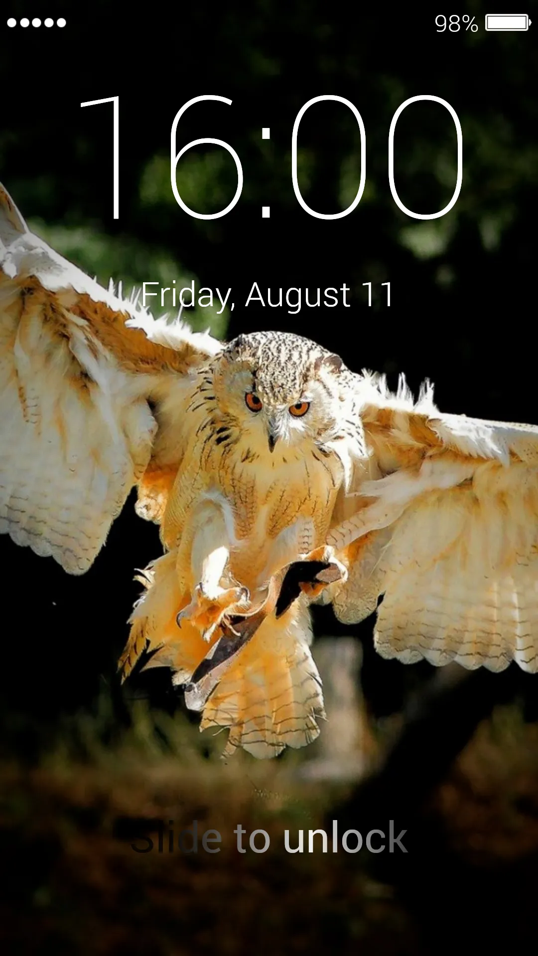 Owl Lock Screen & Wallpapers | Indus Appstore | Screenshot