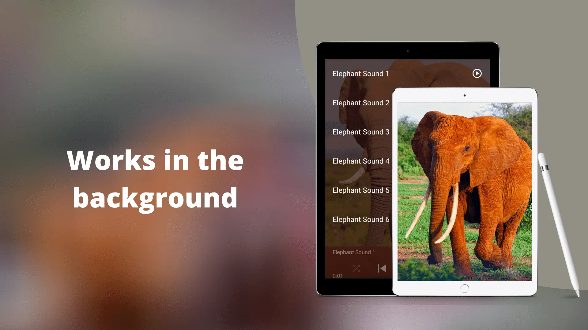 Elephant Sounds | Indus Appstore | Screenshot