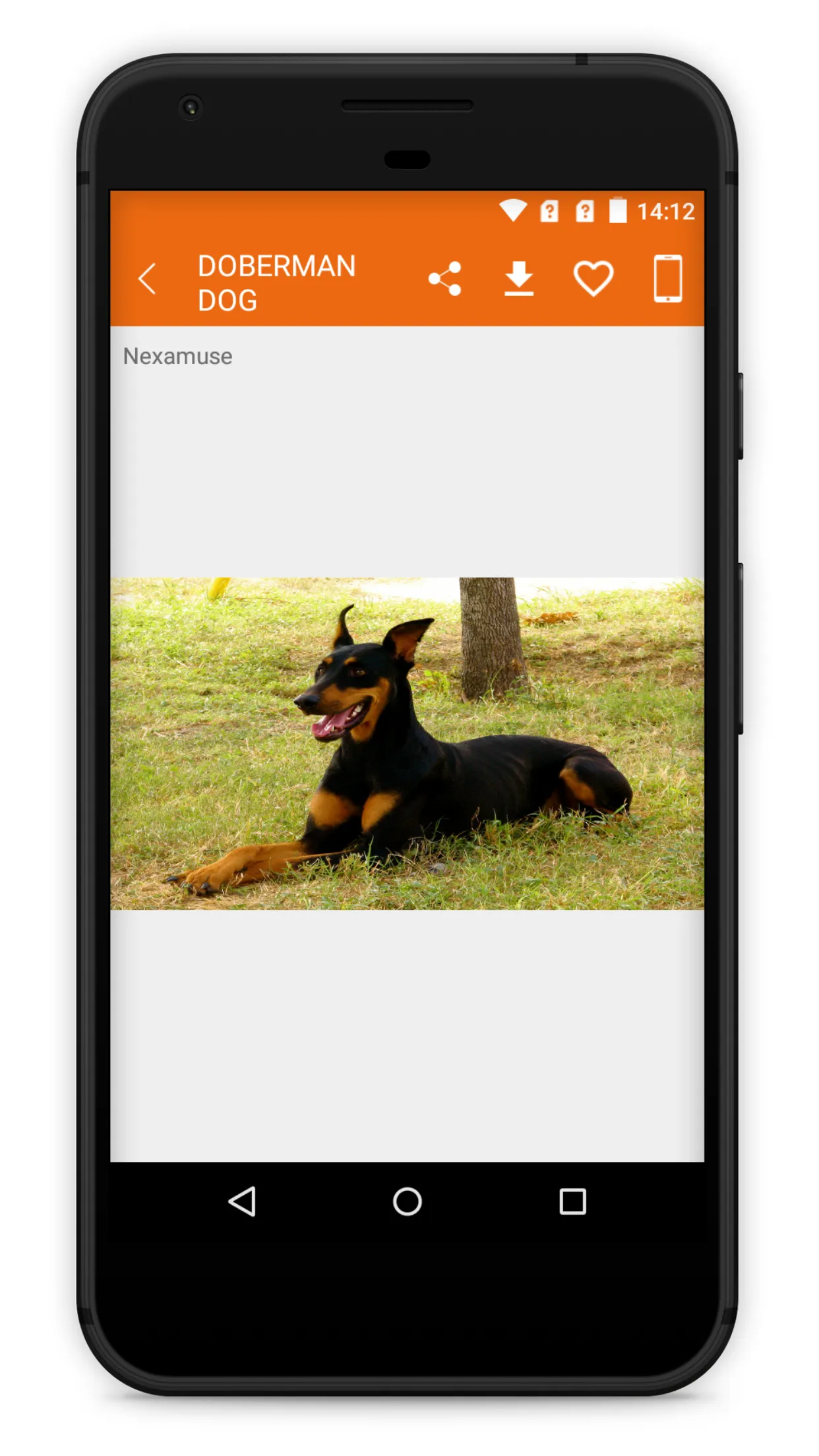 Doberman Dog Wallpaper HD | Indus Appstore | Screenshot