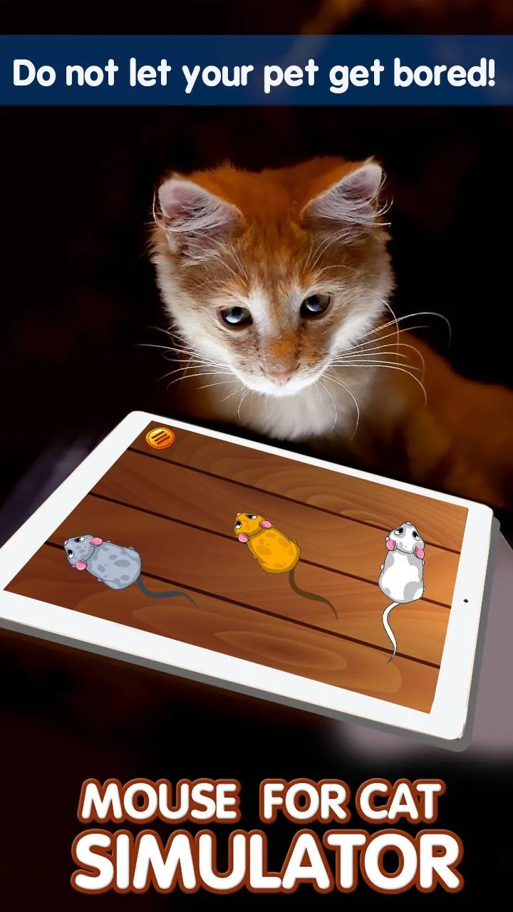 Mouse for Cat Simulator | Indus Appstore | Screenshot