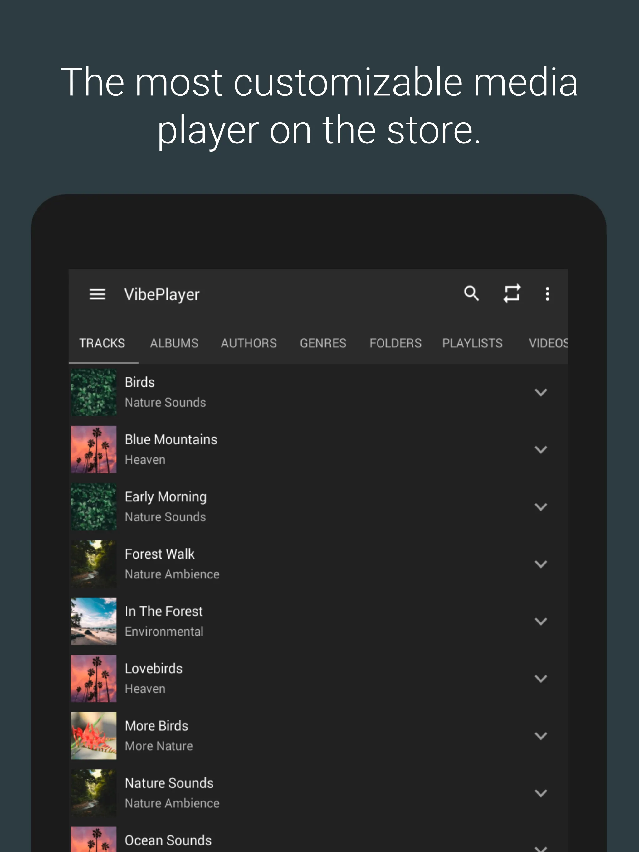 VibePlayer - Audio/Video Playe | Indus Appstore | Screenshot