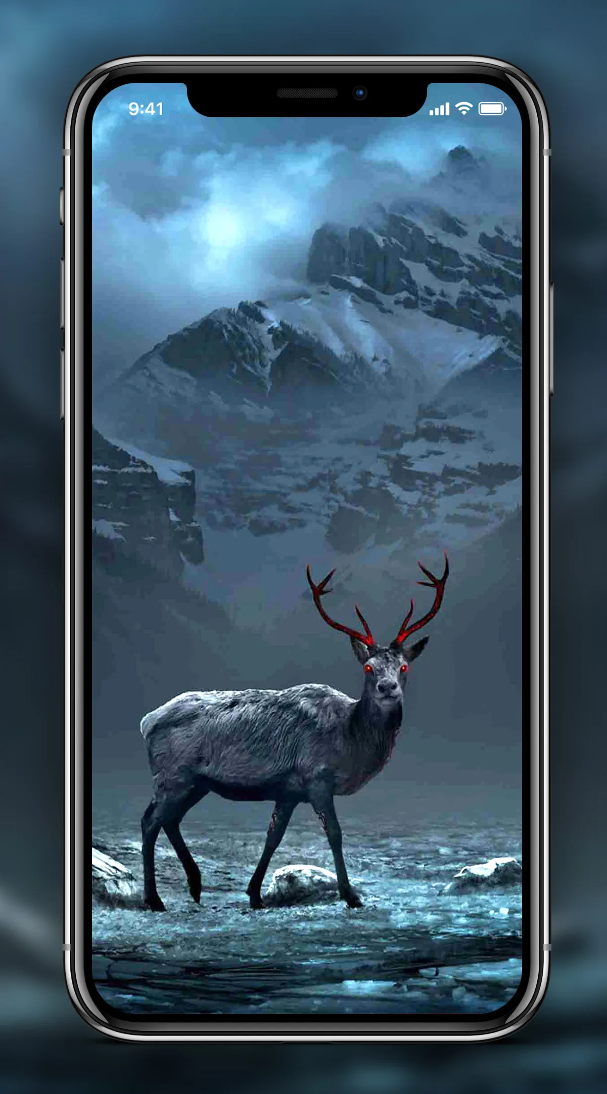 Deer Wallpapers | Indus Appstore | Screenshot