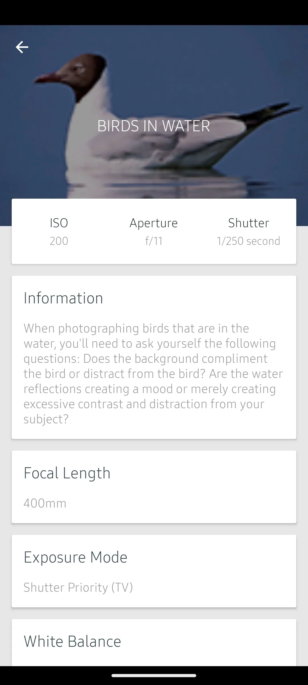 Indian Birds | Indus Appstore | Screenshot