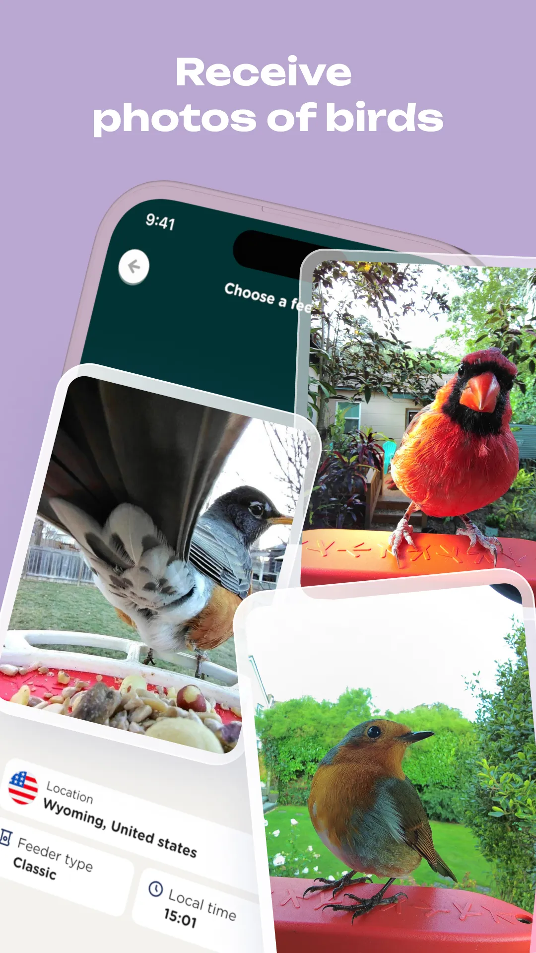 Bird Buddy: Tap into nature | Indus Appstore | Screenshot