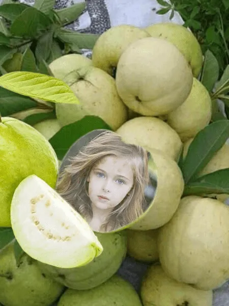 Fruit Photo Frames | Indus Appstore | Screenshot