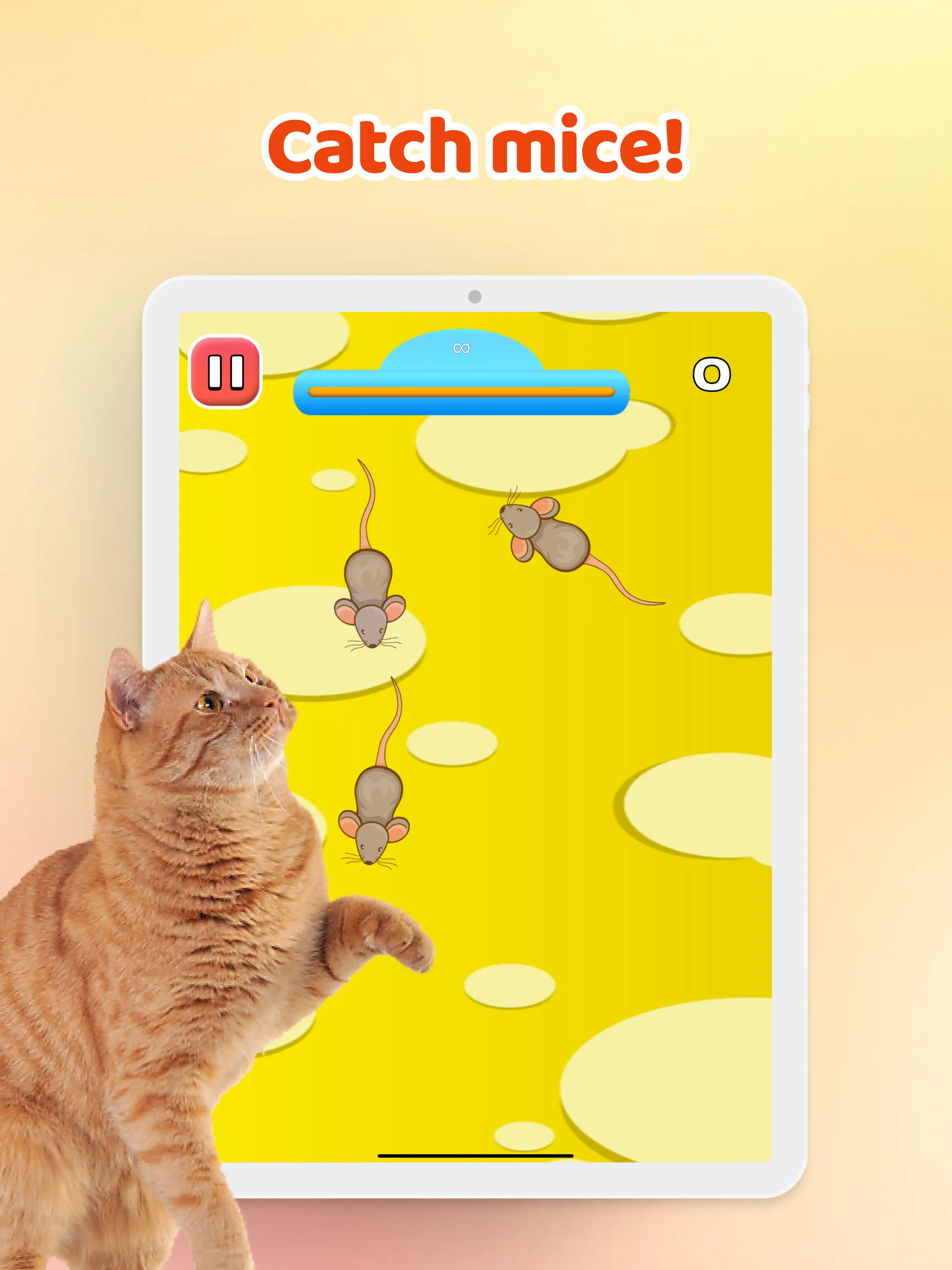 Games for Cat－Toy Mouse & Fish | Indus Appstore | Screenshot