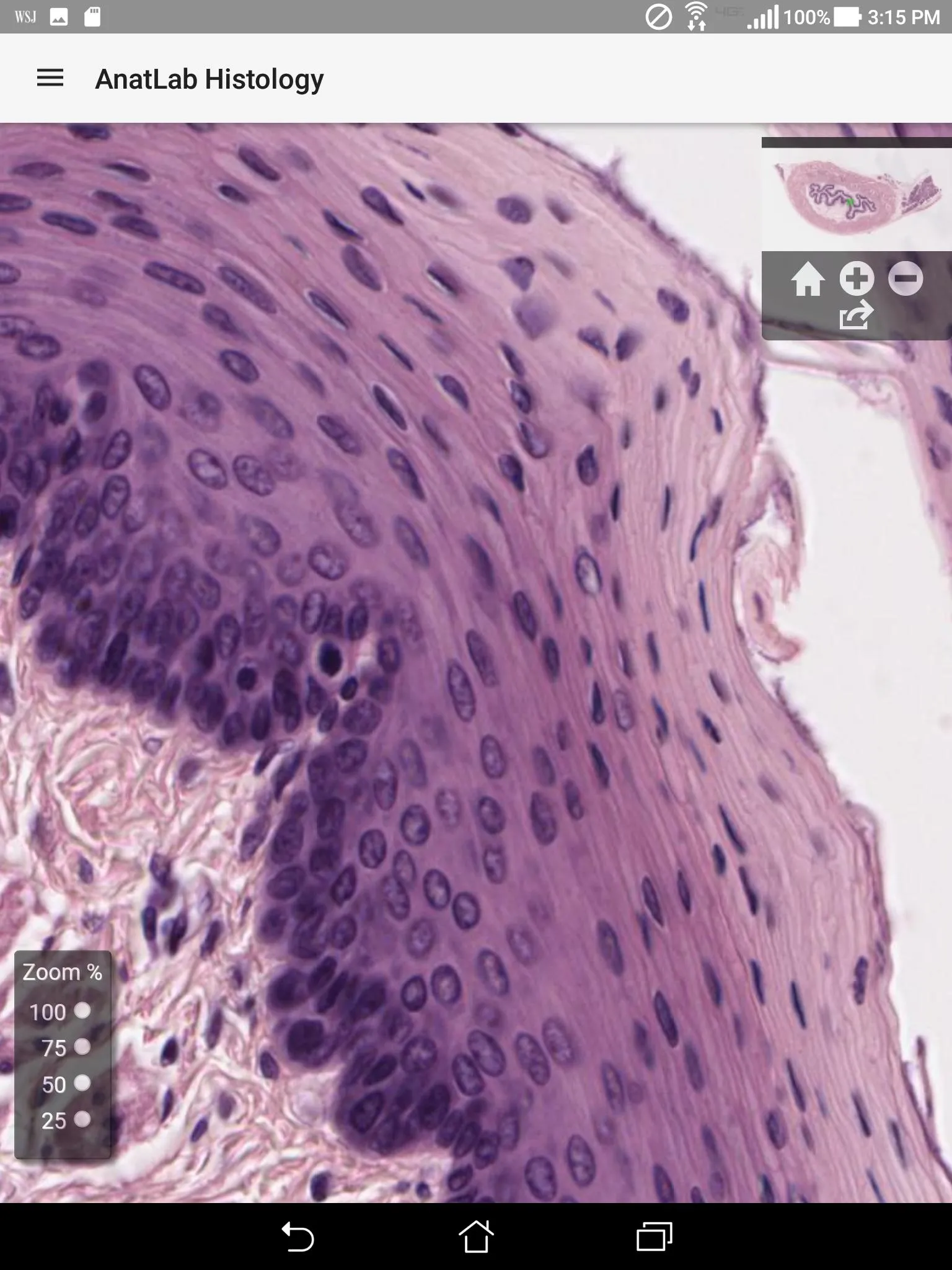 AnatLab Histology | Indus Appstore | Screenshot