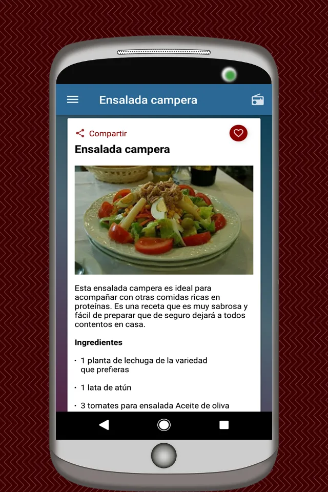 Recetas de Ensaladas | Indus Appstore | Screenshot