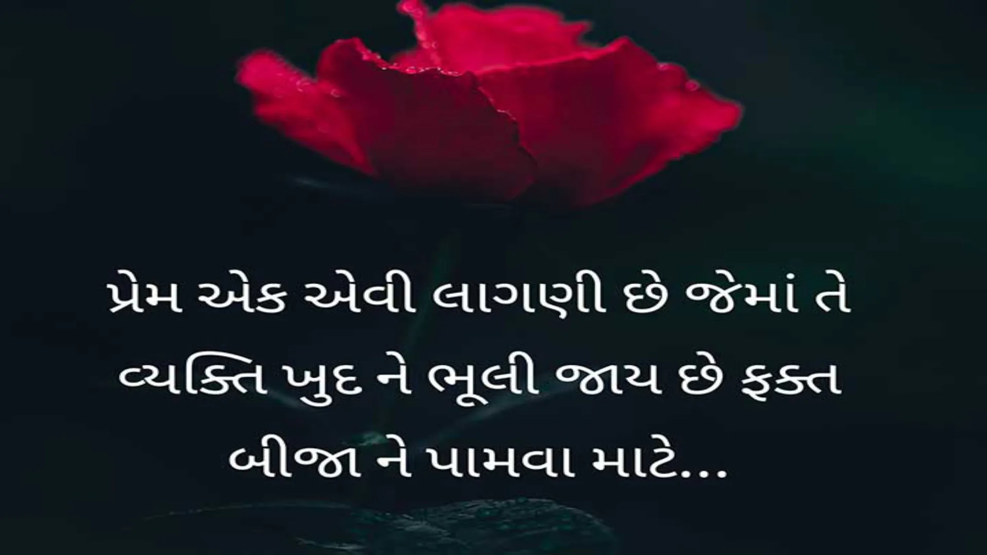 Love Shayari in Gujarati | Indus Appstore | Screenshot