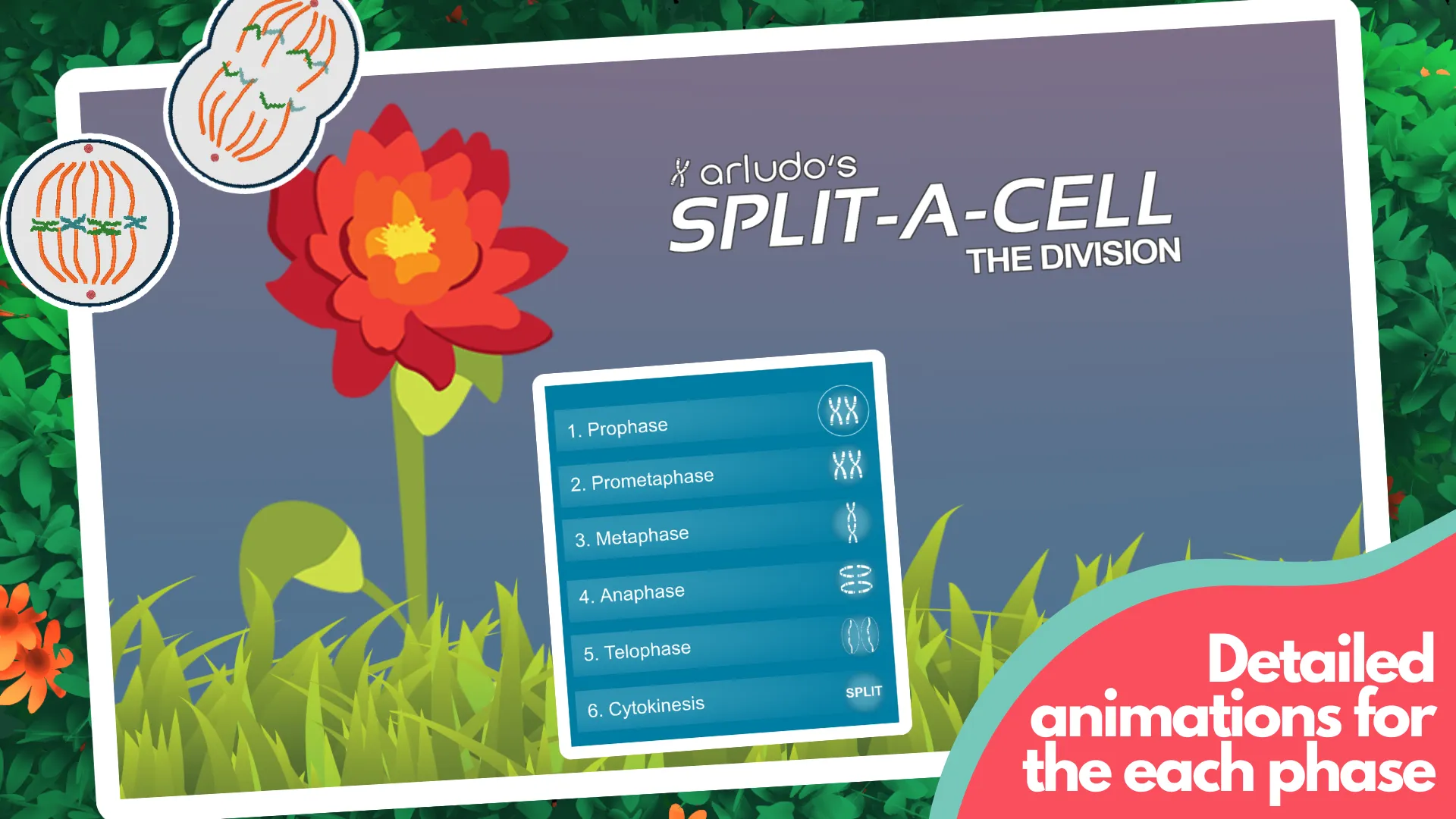 Split A Cell | Indus Appstore | Screenshot