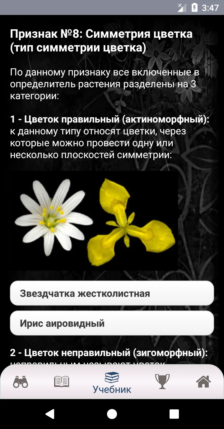 EcoGuide: Russian Wild Flowers | Indus Appstore | Screenshot