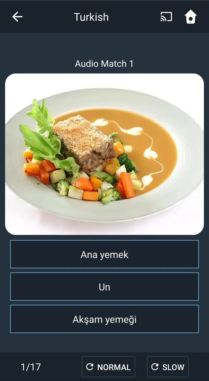 Learn Turkish. Speak Turkish.  | Indus Appstore | Screenshot